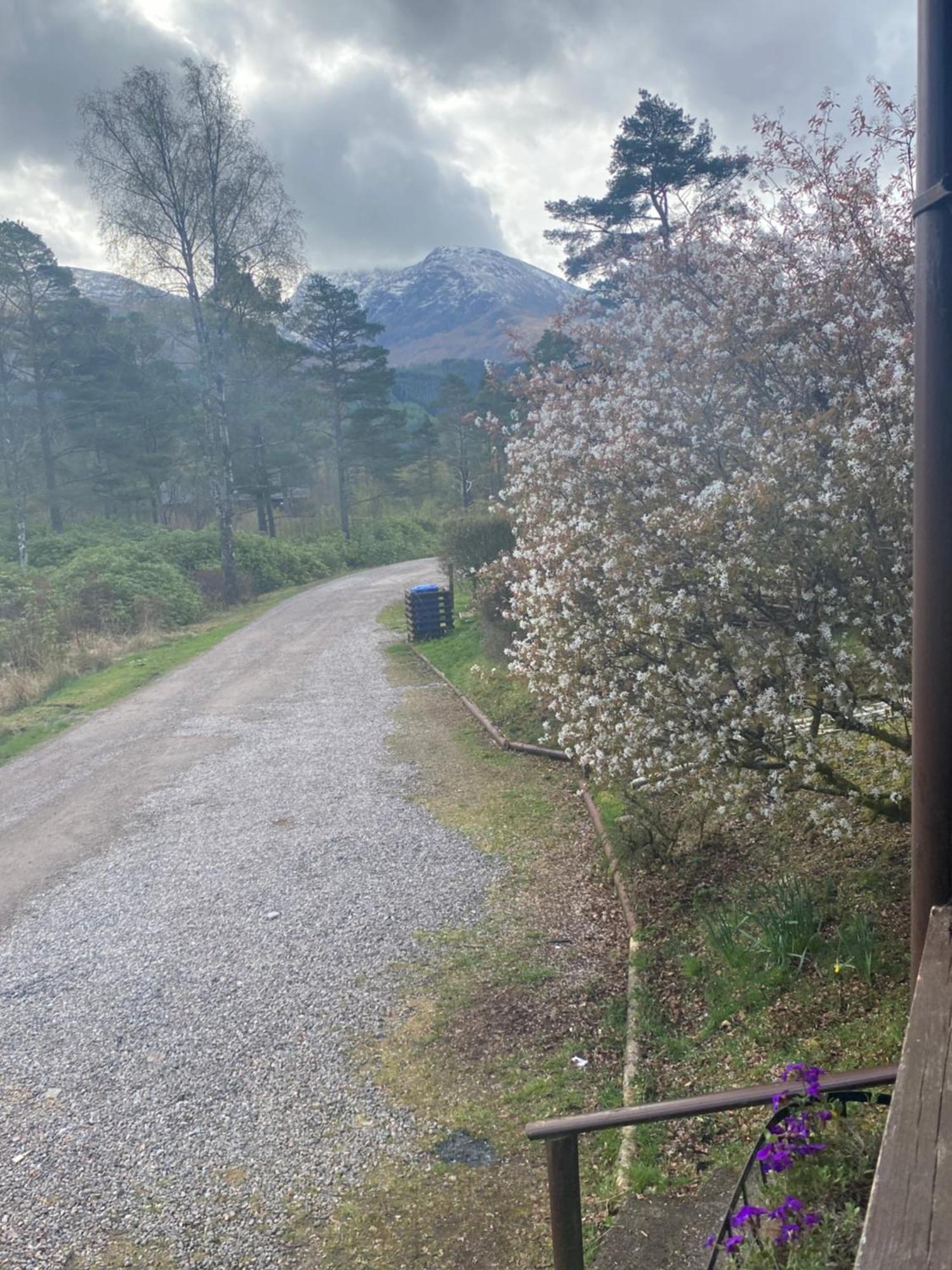 Kingswood Lodges Fort William Exterior foto